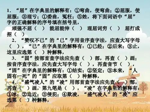 语文五六年级查字典练习题