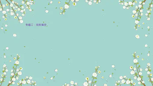 2020广东中考英语专题二完型填空