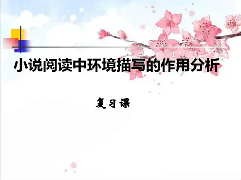 小说阅读中环境描写的作用课件