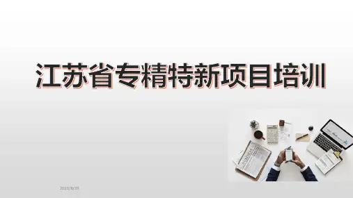 江苏省专精特新培训资料