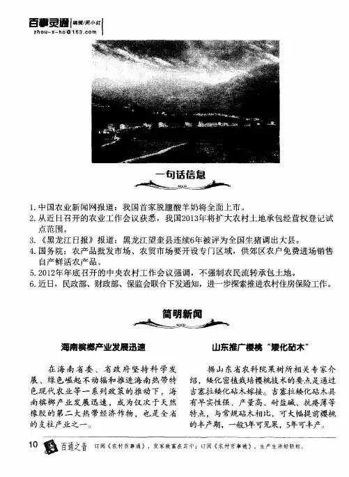 海南槟榔产业发展迅速