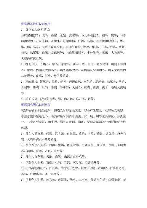 观鸟爱好者必备之鸟类识别窍门