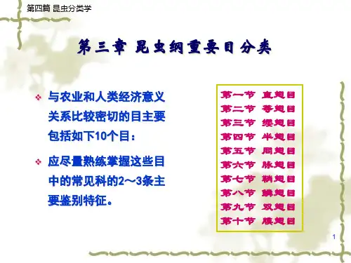 ch3-1昆虫纲重要目分类PPT课件