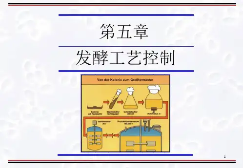 发酵工程第5章发酵工艺控制