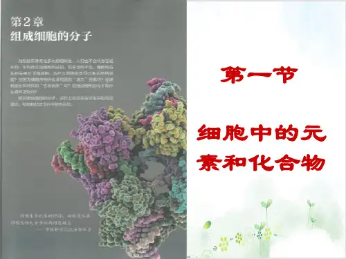 细胞中的元素和化合物(27张)-PPT优秀课件