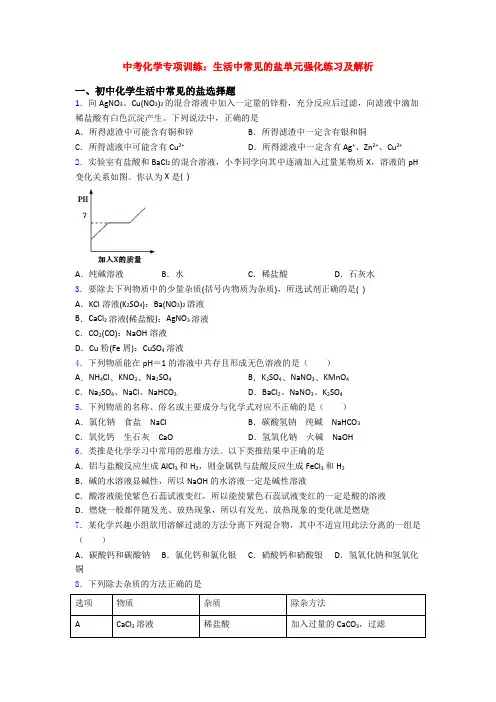 中考化学专项训练：生活中常见的盐单元强化练习及解析