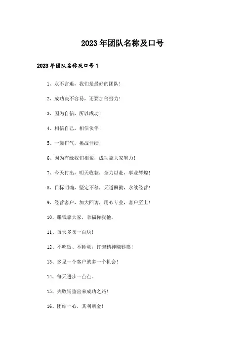2023年团队名称及口号