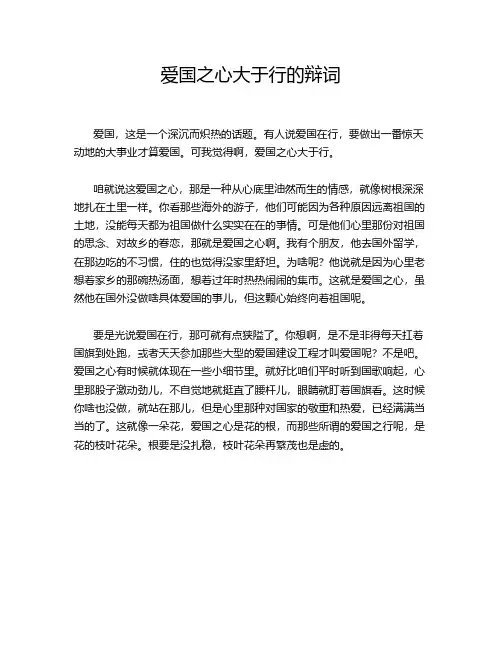 爱国之心大于行的辩词