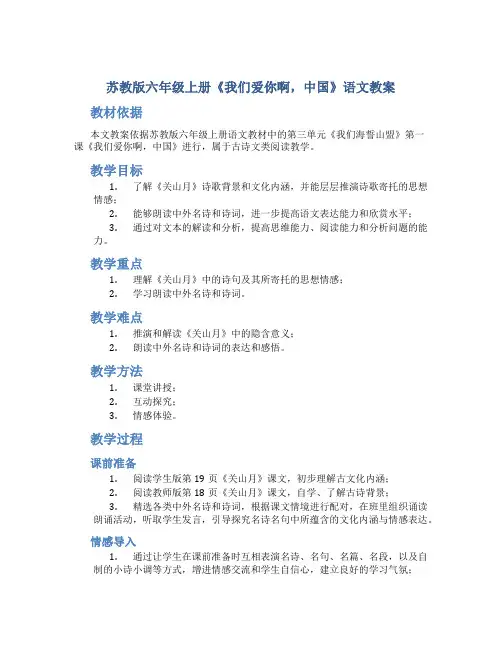 苏教版六年级上册《我们爱你啊,中国》语文教案