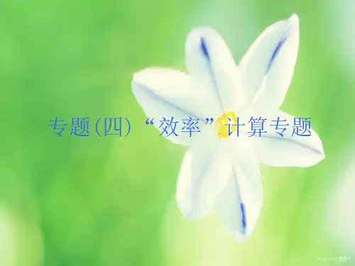 中考物理题型训练四“效率”计算课件   