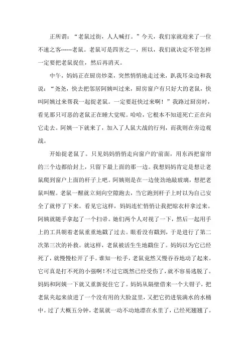 作文抓老鼠趣事