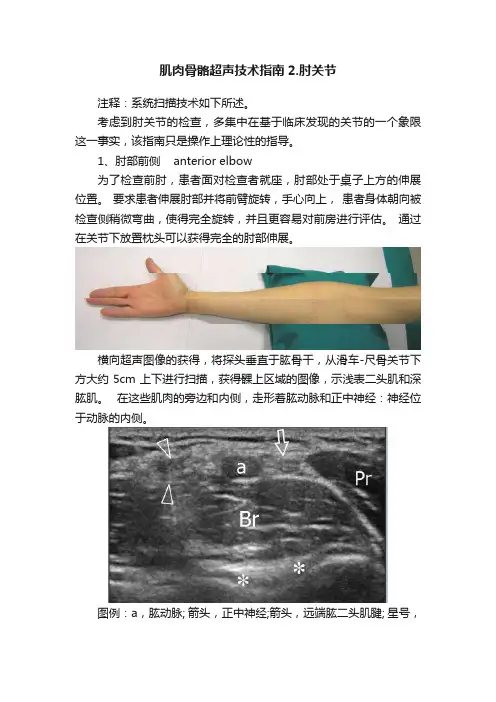肌肉骨骼超声技术指南2.肘关节