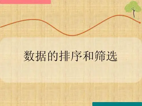 《数据的排序和筛选》教学课件