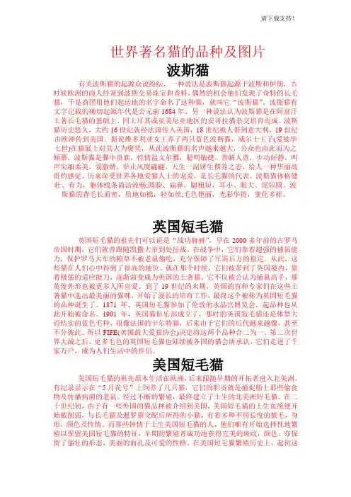 世界著名猫的品种及图片
