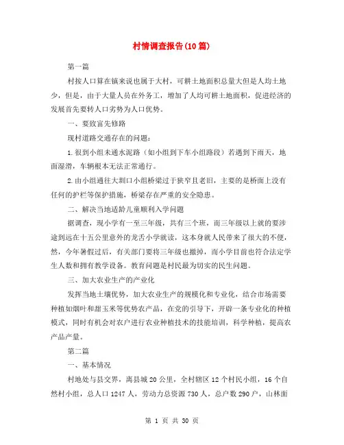 村情调查报告(10篇)