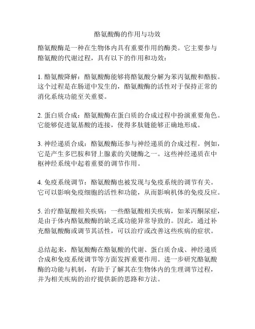 酪氨酸酶的作用与功效