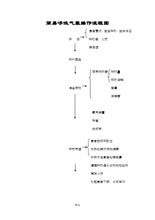 简易呼吸气囊操作流程08932