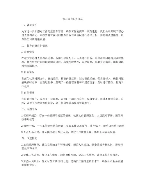 督办自查自纠报告