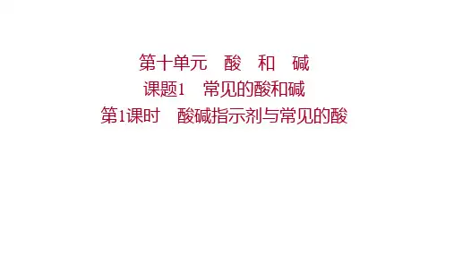 人教版九年级下册化学 第十单元 酸和碱  课题1 第1课时 酸碱指示剂与常见的酸