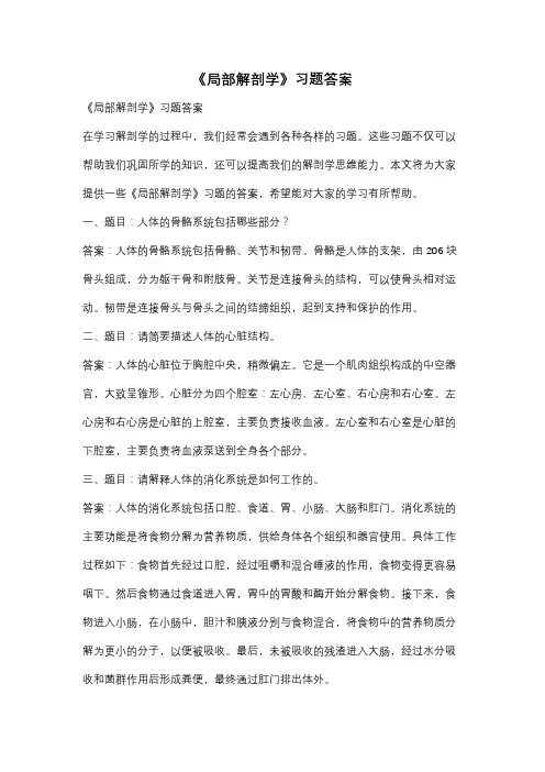 《局部解剖学》习题答案