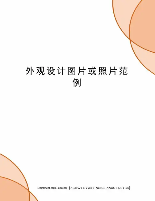 外观设计图片或照片范例