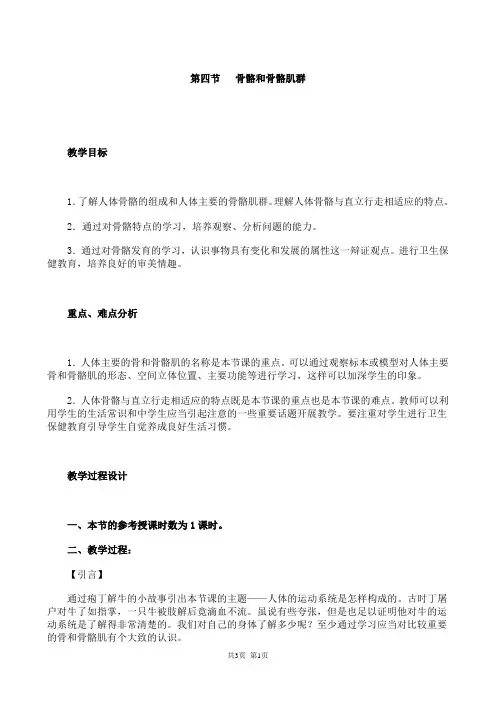 初中八年级生物下册-骨骼和骨骼肌群