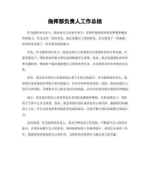 指挥部负责人工作总结
