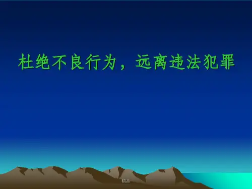 《安全法制教育》PPT课件