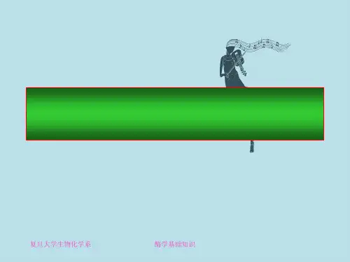 酶学基础知识