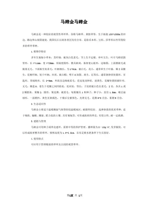 马蹄金马蹄金