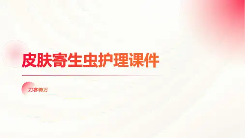 皮肤寄生虫护理课件