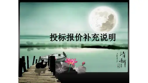 投标报价补充说明