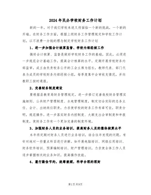 2024年民办学校财务工作计划（四篇）