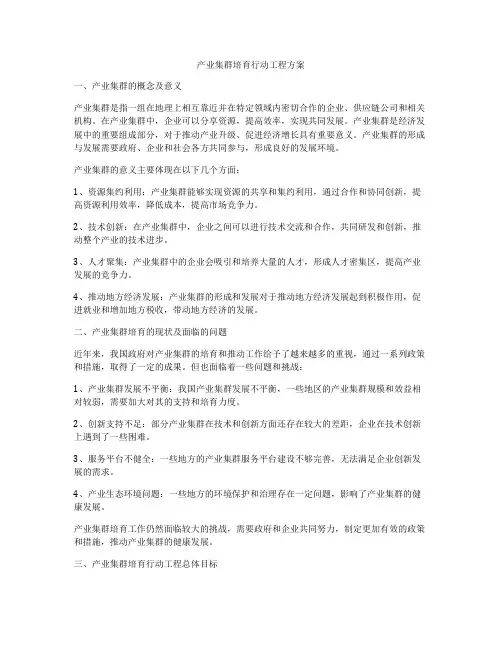 产业集群培育行动工程方案