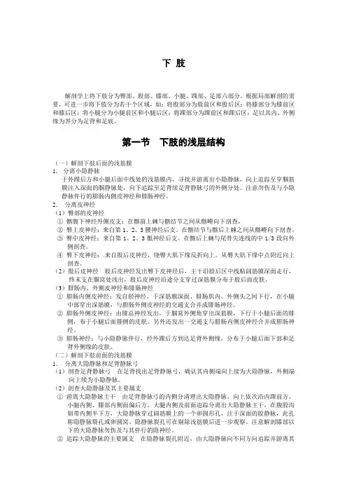 01 下肢总结