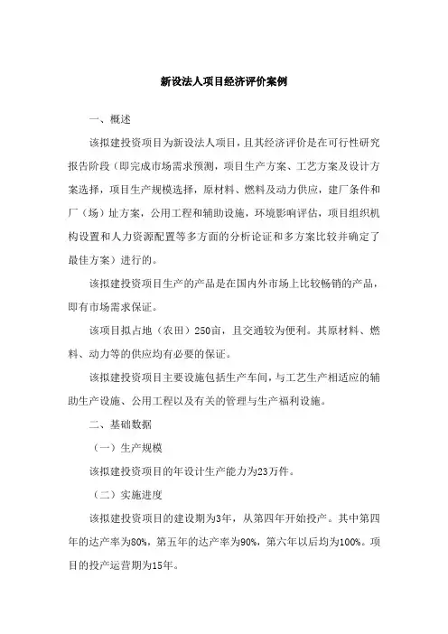 (完整word版)新设法人投资项目经济评价