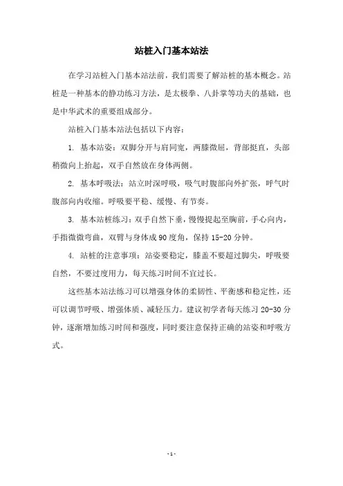 站桩入门基本站法