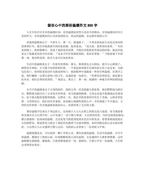 留在心中的那份温暖作文800字