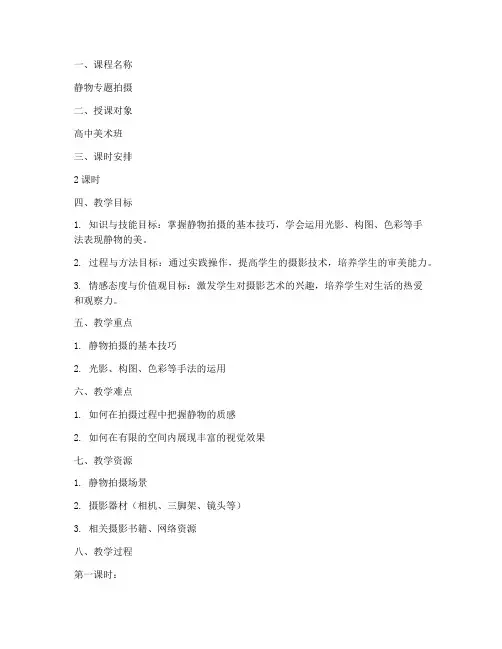 静物专题拍摄教案模板范文