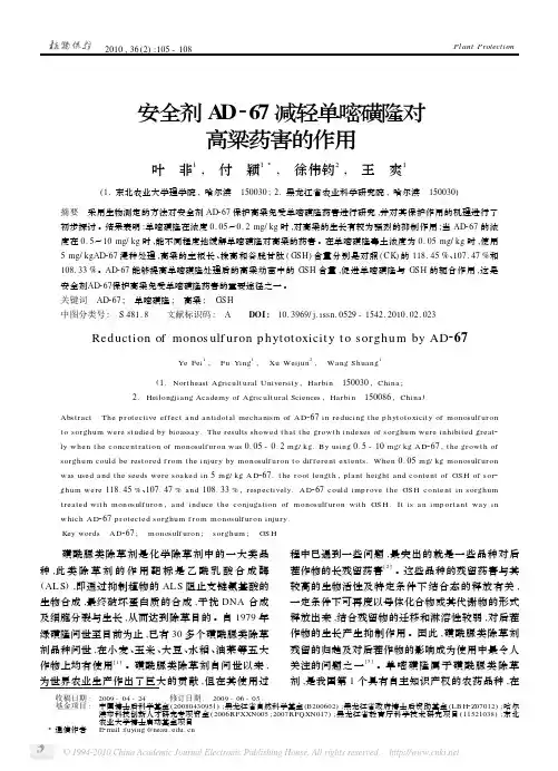 安全剂AD_67减轻单嘧磺隆对高粱药害的作用