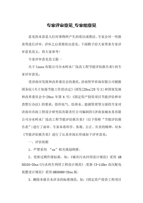 专家评审意见_专家组意见