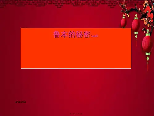 五年级语文下册《鲁本的秘密》课件3