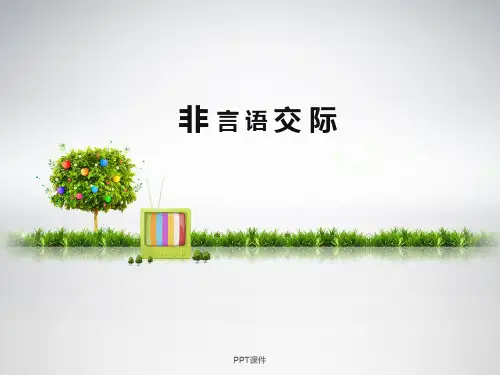 非言语交际  ppt课件