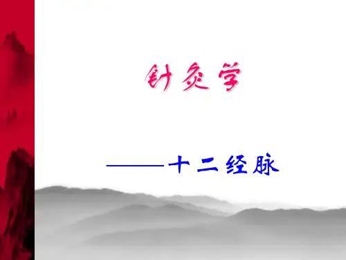 针灸学--十二经  ppt课件