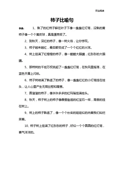 柿子比喻句