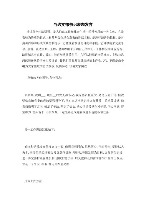 当选支部书记表态发言