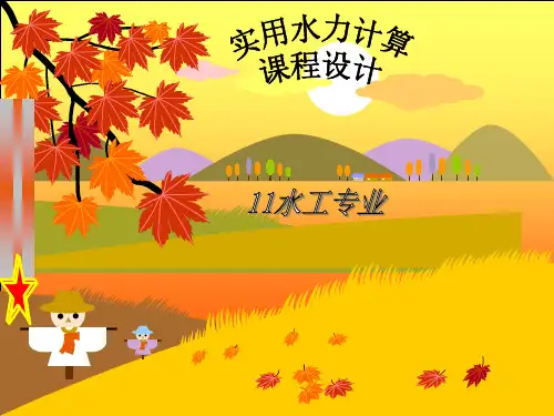 水力学课程设计