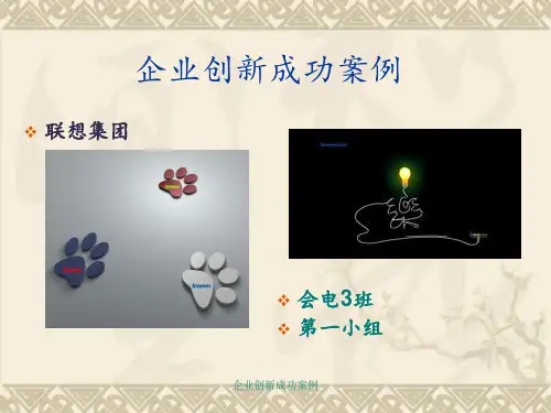 企业创新成功案例 ppt课件