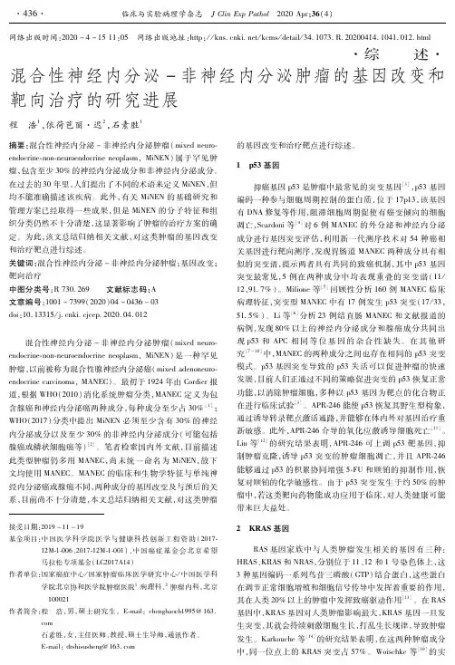 混合性神经内分泌-非神经内分泌肿瘤的基因改变和靶向治疗的研究进展