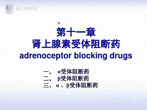 B11肾上腺素受体阻断药